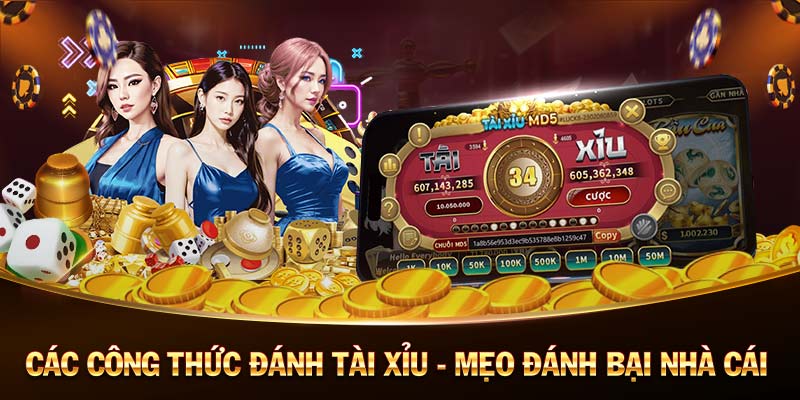 VWIN-Dẫn đầu trong trải nghiệm casino trực tuyến!